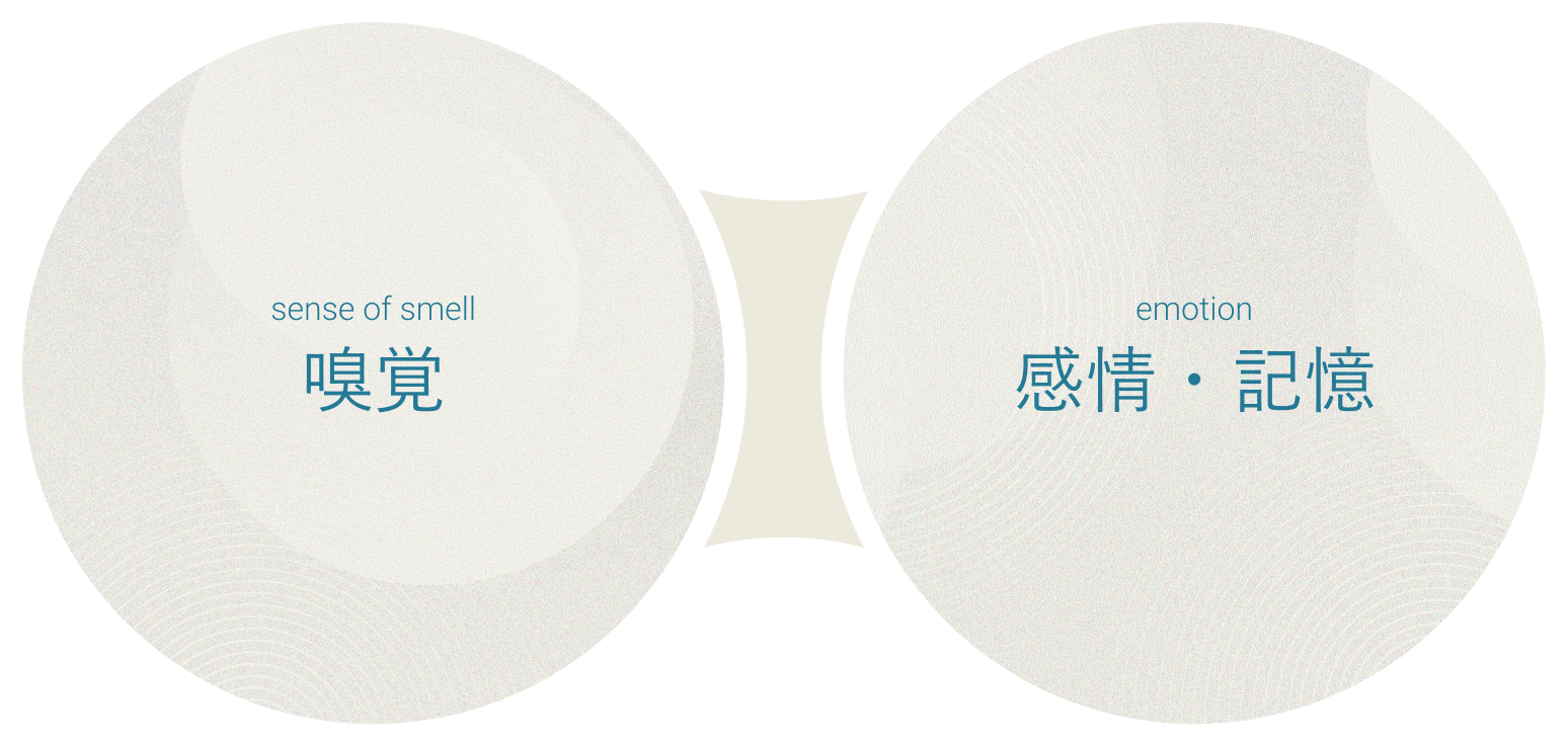 sense of smell 嗅覚 emotion 感情・記憶